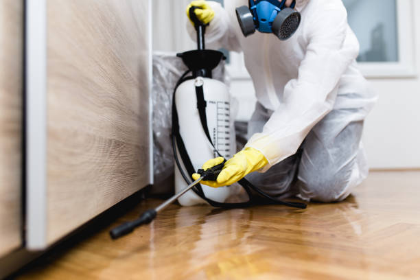 Flea Control Services in Glenwood, AR