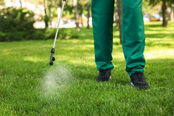 Best Affordable Pest Control Services  in Glenwood, AR