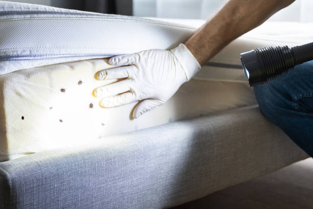 Best Exterminator Services  in Glenwood, AR
