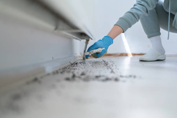 Best Best Pest Control Companies  in Glenwood, AR