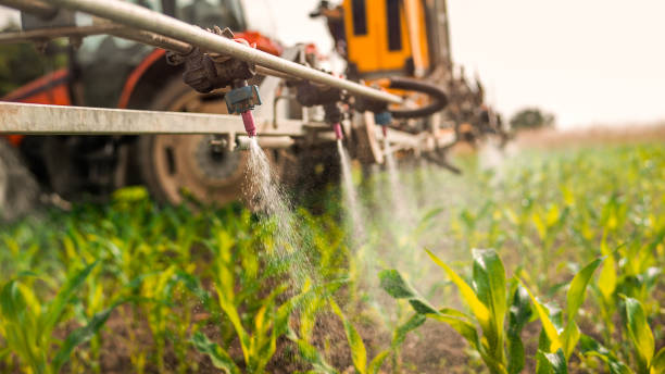Best Commercial Pest Control Services  in Glenwood, AR